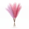 Flower_bouquet_on_white_background_202607151716 ريش خماسى