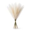 Flower_bouquet_on_white_background_202607151720 ريش خماسى