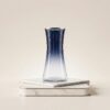 Place_object_onto_pedestal_2K_202607071621 فازه زجاج D1 ......1260