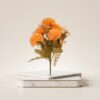 Place_object_onto_pedestal_2K_202607151545 ورد 12-302