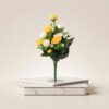Place_object_onto_pedestal_2K_202607151550 ورد 8-68